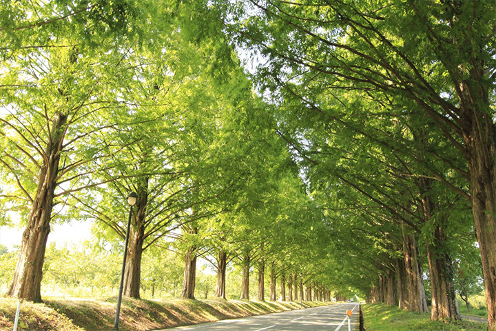 Environmental Policies