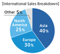 International Sales Breakdown